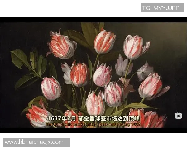 北京排球队的崛起之路:从默默无闻到世界锦标赛的辉煌历程