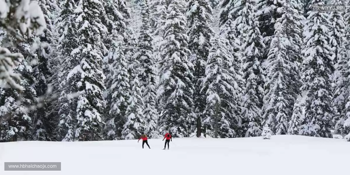 👕 限量周边，穿上它，你就是赛场最靓的崽！
